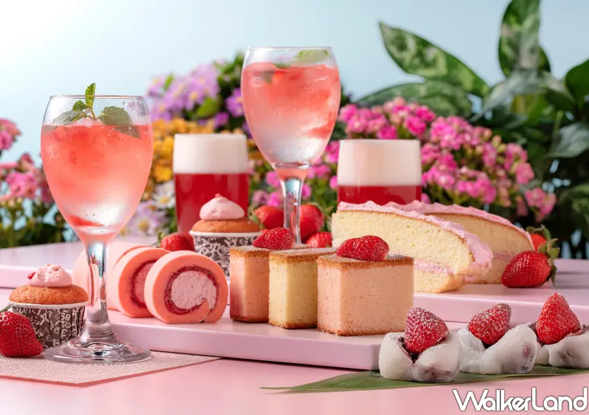 ▲少女心爆棚草莓甜點吃到飽。熊本草莓大福、草莓蒙布朗與雙目糖長崎蛋糕，甜蜜登場。