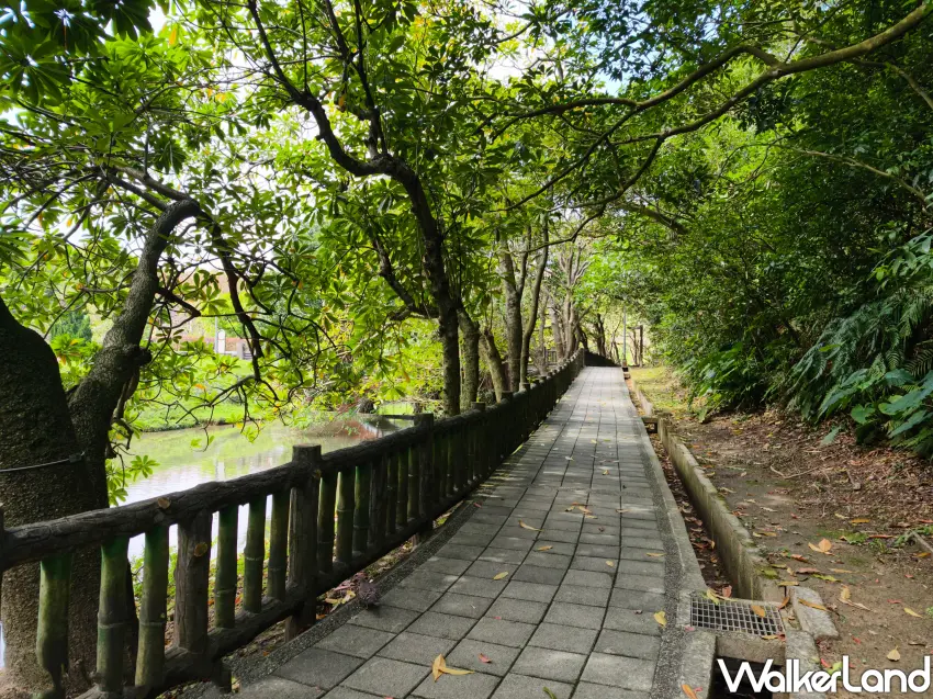 ▲沿水岸埤塘漫步，欣賞生態景觀並感受城市慢活氣息。(攝影：鄭雅之)