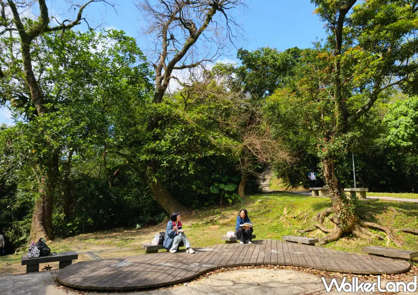 ▲木之廣場設有冥想平台，讓民眾在烏來冬青樹下靜坐尋找心靈平衡。 (攝影：鄭雅之)