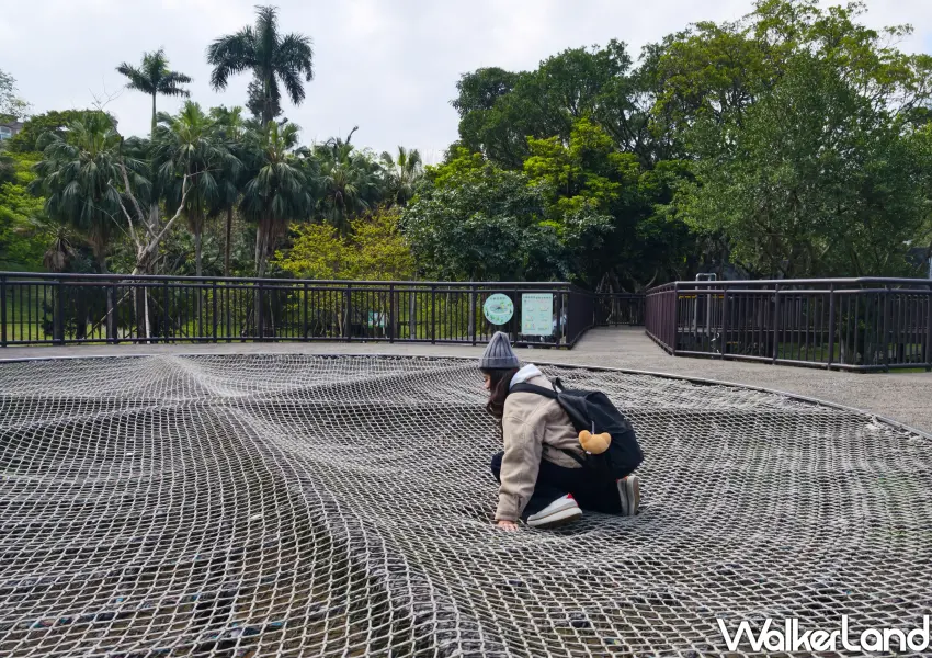 ▲互動環形天網挑戰平衡，是南港公園人氣親子遊戲場。 (攝影：鄭雅之)
