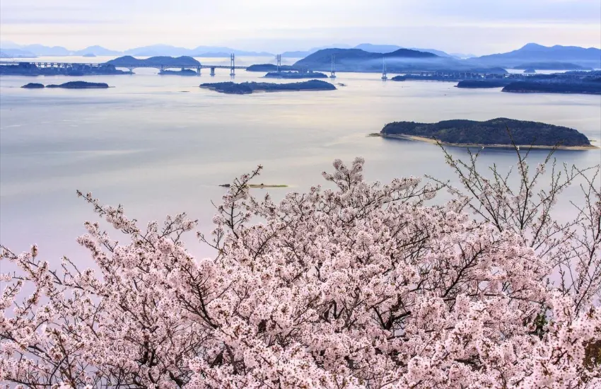 ▲王子岳是能將瀨戶內海與瀨戶大橋全景盡收眼底的觀景勝地。