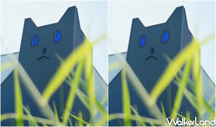 ▲以獨特視角捕捉愛貓一生觀光工廠的一角，充滿童趣的貓耳造型窗戶，成為社群熱搜的屏東拍照好去處。