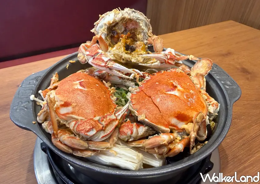 ▲三蟹叻沙粉絲煲爆量蟹膏，濃郁海鮮精華融入叻沙湯底。