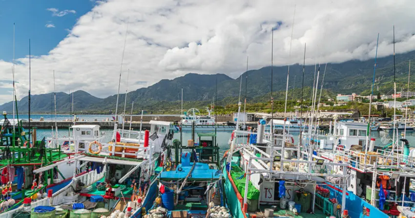 ▲「成功漁港」為東台灣最大漁港，一年四季漁獲豐富，港邊停滿漁船，展現最熱鬧的海港日常風景。