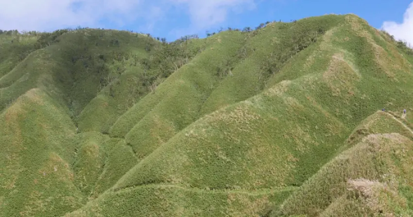 ▲「抹茶山步道」雖然一路上坡較為吃力,但抵達山頂後,便能看見整片療癒的抹茶綠山稜線。