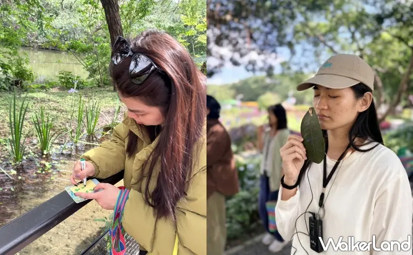 ▲透過慢步與記錄，旅人在走讀過程中重新感受城市森林的呼吸節奏。圖／嵨開安旅提供；窩客島整理