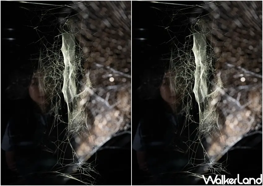 ▲新美館全新展覽「共織宇宙」大型沈浸式裝置、蜘蛛網作品，邀請觀眾與蜘蛛及宇宙萬物共同感知世界。