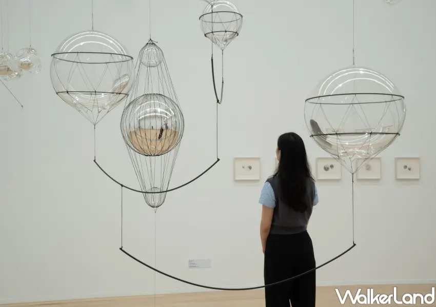 ▲藝術家托馬斯薩拉切諾將蜘蛛網轉化為理解宇宙結構的藝術語言，引導觀眾重新思考生命與環境。