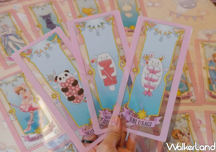 ▲壽司郎限定滿額贈的庫洛魔法使透明卡牌,其中有三張結合壽司元素的隱藏版卡片,掀起粉絲收集熱潮。(攝影:鄭雅之)