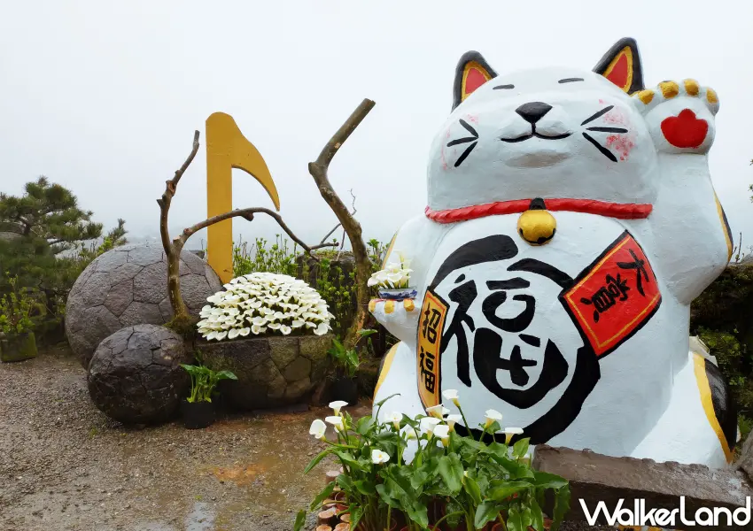 ▲「大賞園」位於頂湖的石球浮出音塊裝置，巨大招財貓與金色音符驚喜現身海芋田，為竹子湖小旅行增添童趣與福氣。