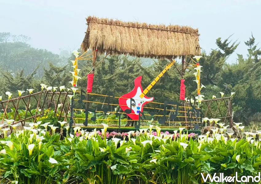 ▲「迎春圃花園」於海芋大道呈現的音樂舞臺地景，鮮紅電吉他與五線譜裝置藝術，譜出專屬於陽明山春天的繽紛樂章。