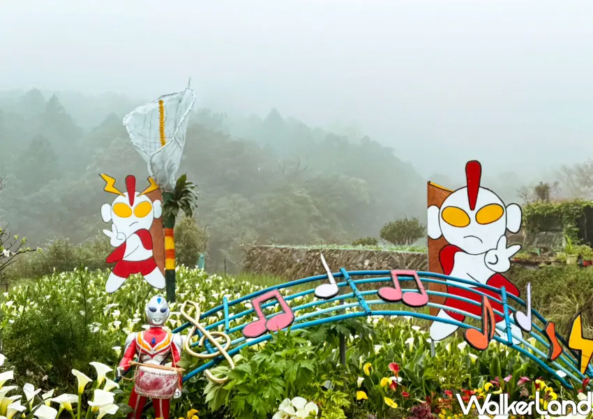 ▲「故鄉休閒農園」推出鹹蛋超人的芋樂時光，海芋大道親子必訪免費地景，可愛鹹蛋超人立牌與五線譜裝置引人駐足。