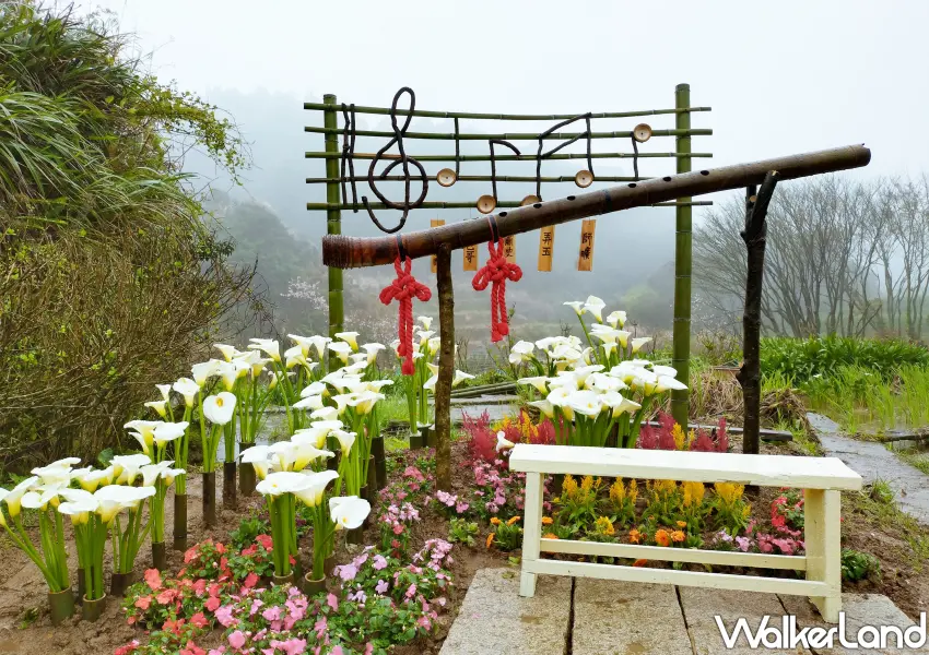 ▲「和緣芋花田」於頂湖打造火山口下的笛子，免費參觀的巨大竹笛與樂譜造景，是竹子湖地景花藝展中極具療癒感的角落。