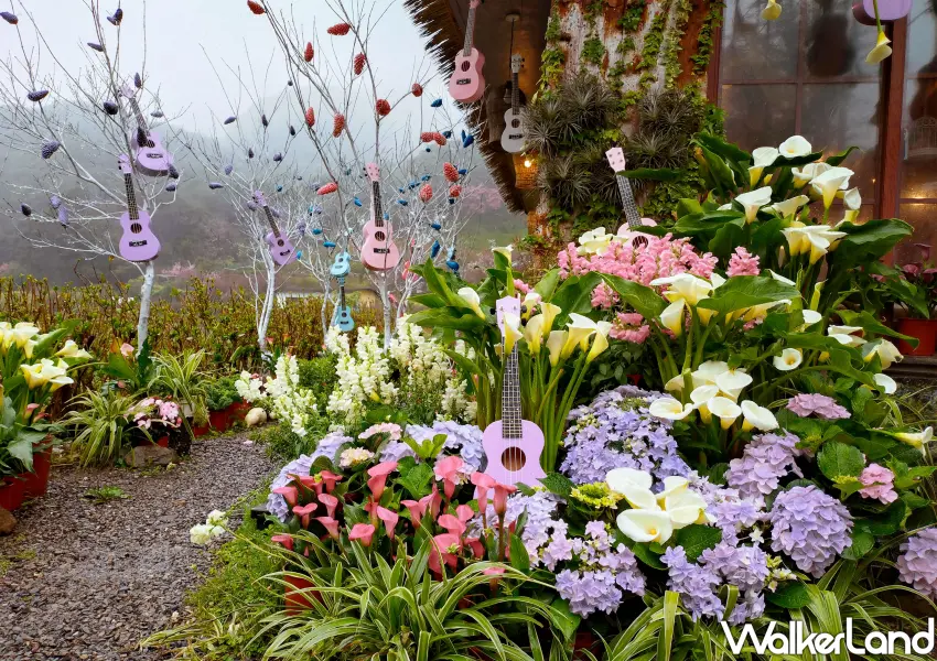 ▲「曹家花田香」榮獲銀質獎的作品舞動烏克麗麗，將繽紛色系的烏克麗麗融入海芋與繡球花田，打造充滿音樂律動感的陽明山網美打卡點。