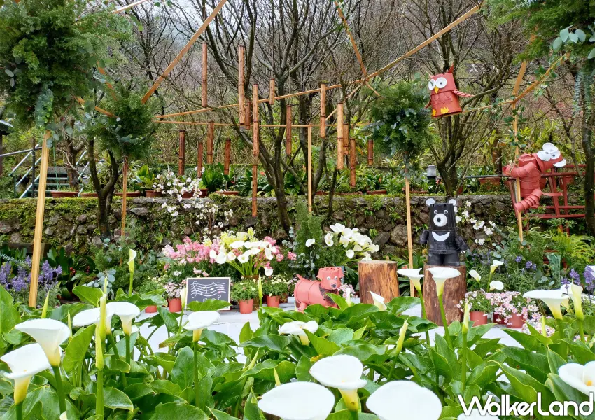 ▲「小瀑布海芋園」呈現的創意地景芋見蕭聲，位於熱鬧的竹子湖海芋大道，結合可愛動物公仔與竹管風鈴，讓遊客漫步花田感受童趣樂章。