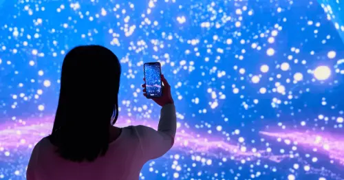 橫濱新地標！Wonderia橫濱沉浸式體驗設施與森林深海生物相遇，影像演出打造非日常世界。