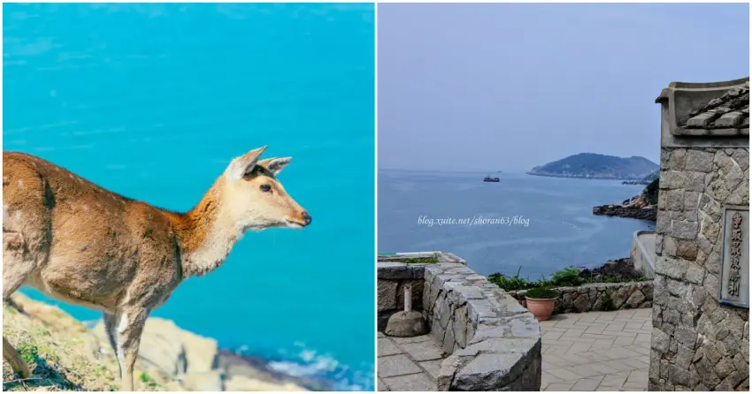 ▲從大坵島梅花鹿到芹壁石屋聚落，一日串聯馬祖最經典景點，行程充實又療癒。