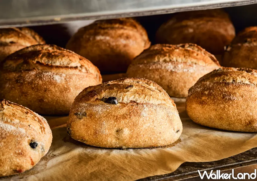 ▲Miss V Bakery以超人氣肉桂捲聞名，將在2026台北麵包祭呈現職人手作溫度與多層次酥脆口感。