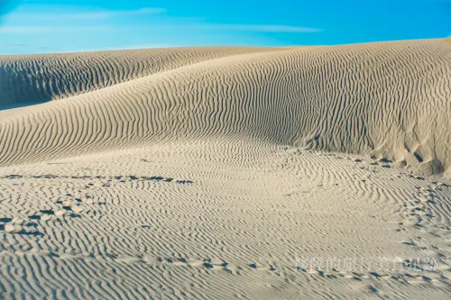 撒哈拉沙漠不用出國拍！全台7大異國景點，台版亞馬遜、大峽谷秒打卡。