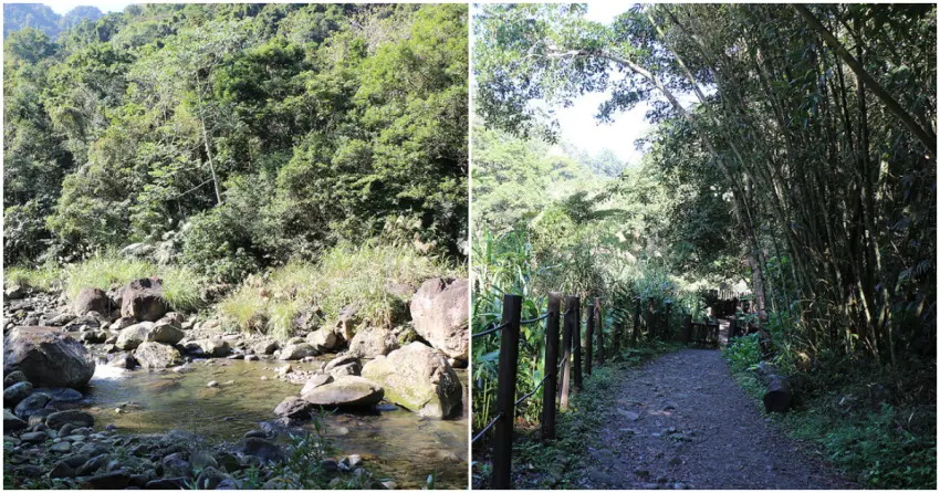 ▲「蓬萊溪護魚步道」水質清澈見底，沿途可見積極保育的魚群悠游其中，結合自然景觀、生態教育的療癒步道值得一訪。（部落客：夫子）