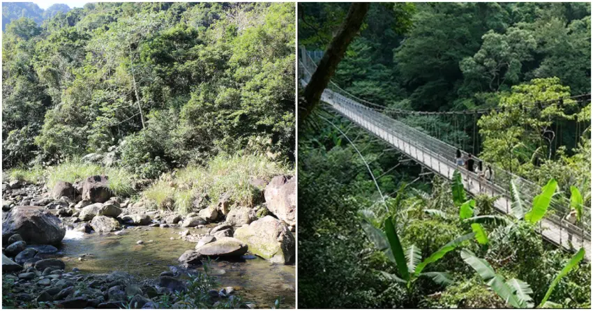 ▲南庄的山林綠意也別錯過，無論是深山秘境還是保育步道，都能在此盡情「森呼吸」，感受自然的鬼斧神工與純粹之美。