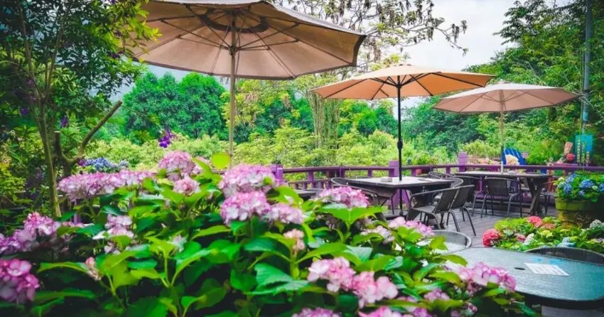 國際認證慢城小鎮！一日走訪苗栗南庄，打卡神仙谷、絕美山景咖啡先收藏。