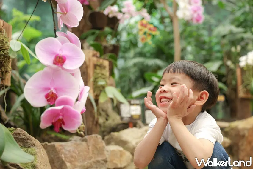▲捷絲旅宜蘭礁溪館專案串聯金車礁溪蘭花園生態館行程，延伸親子自然探索體驗。圖／捷絲旅提供；窩客島編輯整理