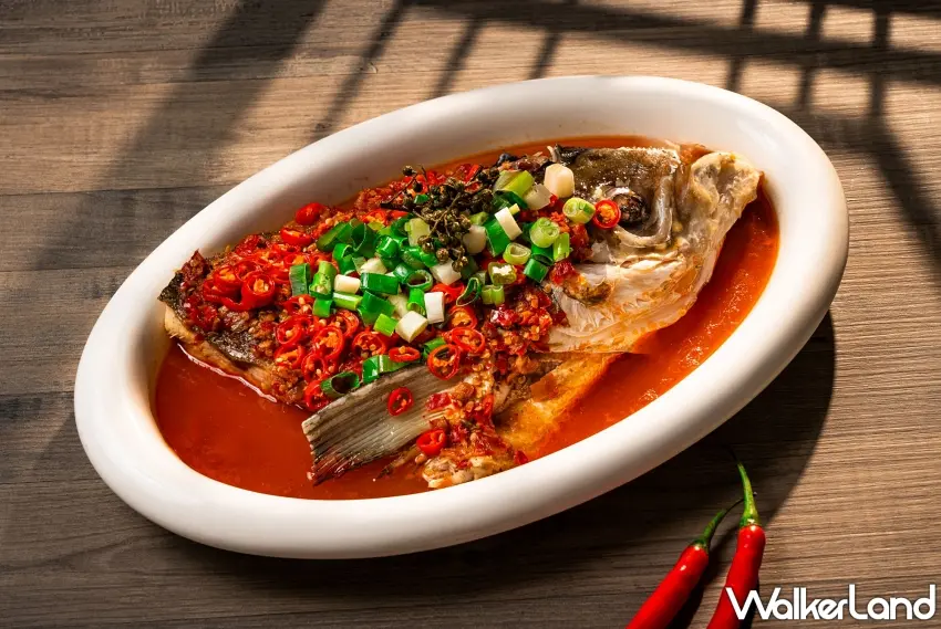 ▲「藤椒魚頭」以青藤椒帶出清新麻香,層次分明且麻而不燥,為美食節人氣亮點。圖/板橋凱撒大飯店提供;窩客島整理