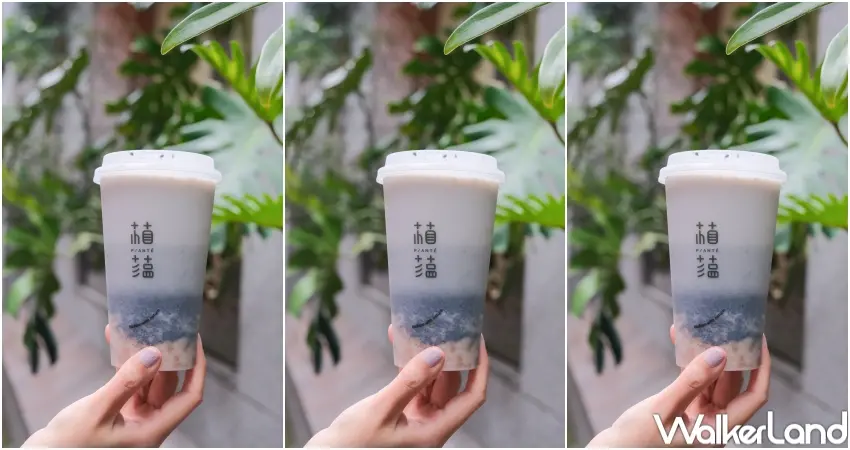 ▲植蘊 Planté 推出芝麻高蛋白堅果飲，以豆漿融合芝麻與堅果燕麥，口感滑順並帶有細緻顆粒層次（攝影：張人尹）