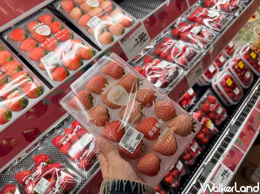 ▲宮古島購物以在地商場與大型超市為主，San-A宮古島City結合服飾與食品館成為宮古島採買重點（攝影：張人尹）