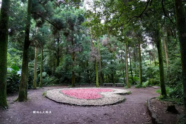 ▲陽明山隱藏版步道!森林系步道「竹子湖黑森林」有著名「黑森林之心」雙心造景。(攝影:部落客 靜怡&大顆呆)