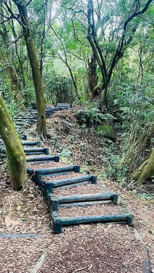 ▲陽明山隱藏版步道!紫明溪步道只需10分鐘就能抵達野溪溫泉祕境。(攝影:部落客 大海愛上藍天)