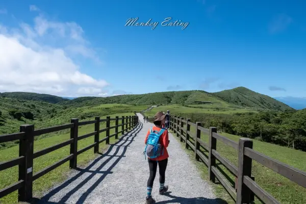 ▲陽明山景點必去熱門點!風擎步道沿途穿梭柳杉林、飽覽遼闊大草原。(攝影:部落客 貪吃猴)