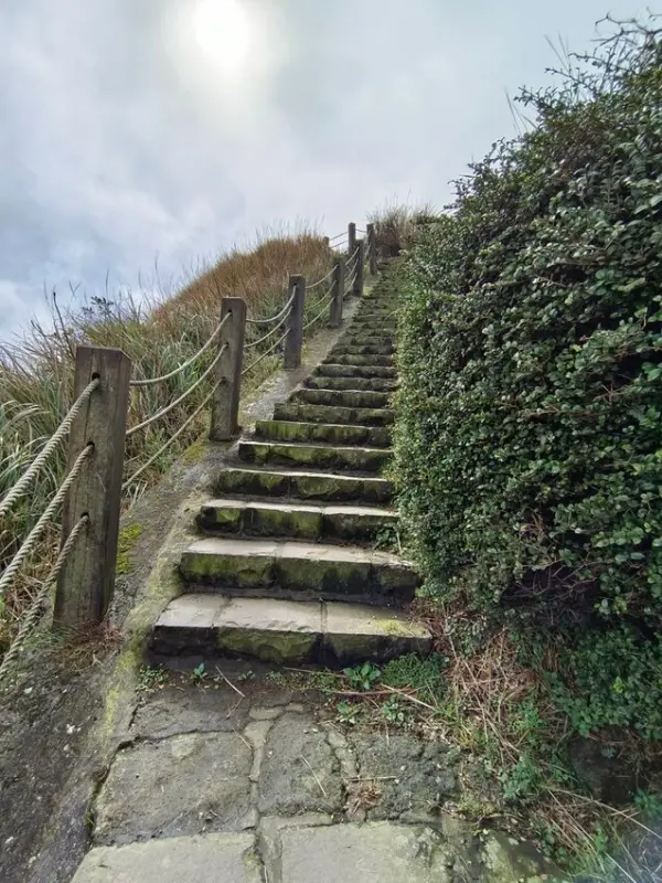 ▲陽明山景點必去熱門點!七星山冷水坑登山口登頂眺望大屯山美景。(攝影:部落客 旅行貓日記跟著辛巴蕊吃喝玩樂全台灣)
