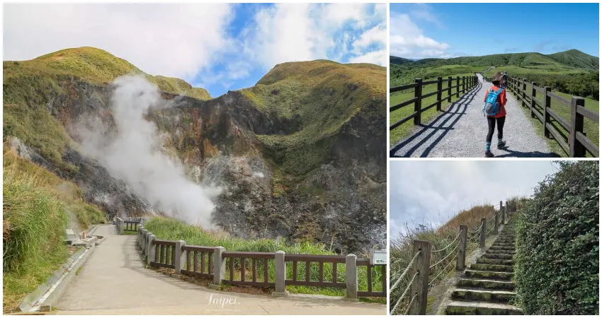 ▲陽明山海芋季別只看海芋!7大陽明山景點清單,春季紫藤花海 紅楓步道也要拍。