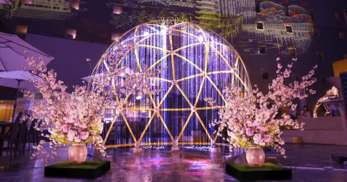 京都車站東廣場變身賞櫻勝地，最美的櫻花藝術裝置只有4/3～5/6期間限定。