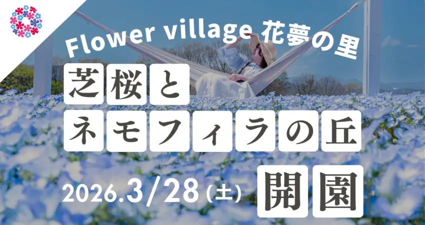 ▲被粉紅與藍色花毯包圍的震撼感，絕對是春天不容錯過的絕景體驗。 