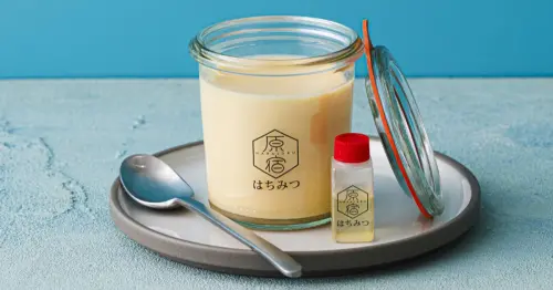 JR東京車站GRANSTA布丁TOP5推薦，想犒賞自己或當伴手禮都是完美的「至福布丁」。