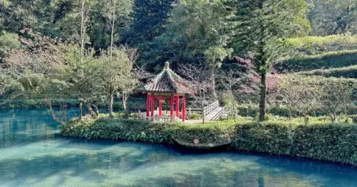 新北最強山林一日遊！烏來台車、瀑布秘境超好拍，療癒行程必收藏。