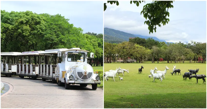 ▲「新光兆豐休閒農場」擁有遼闊歐風草皮景觀，綠意盎然間可見羊群悠閒漫步，搭上遊園車輕鬆穿梭園區，大人小孩都能玩得盡興。