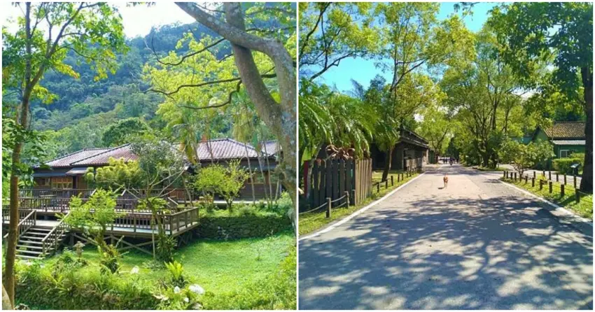 ▲「林田山林業文化園區」保留的完整日式木造建築群，被蓊鬱山林與綠意包圍，處處都是絕佳取景角度。