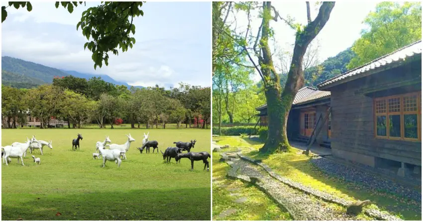 ▲鳳林不只擁有遼闊農場風光，還藏著被綠意圍繞的山林秘境，從歐風草皮到日式老屋，國際慢城超療癒。