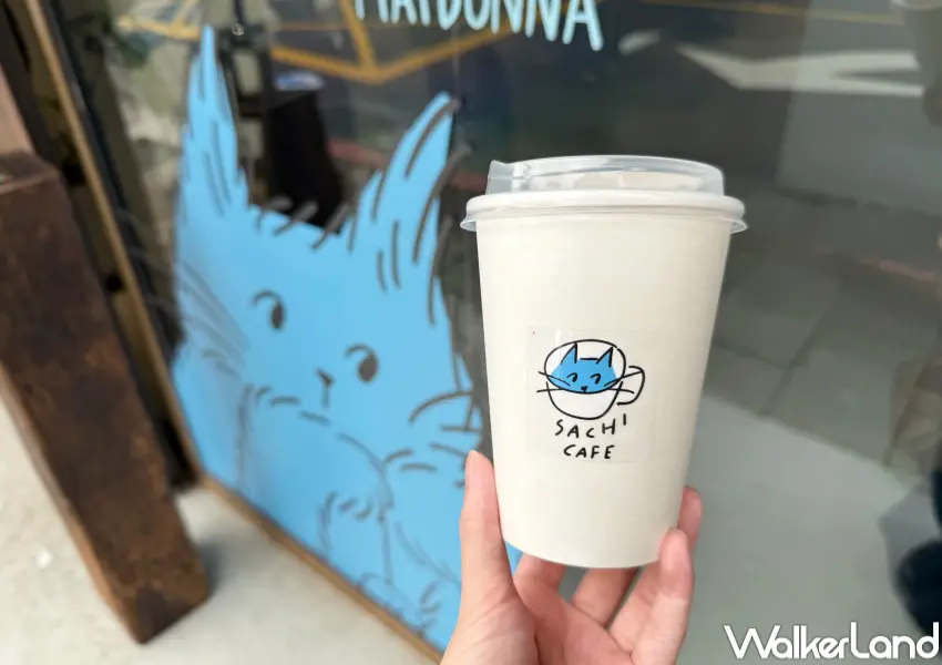 ▲台北藍色貓貓展超萌！松菸旁韓國藍色貓貓Sachiket全球首展，必買周邊貓貓娃娃。(攝影：鄭亦庭)