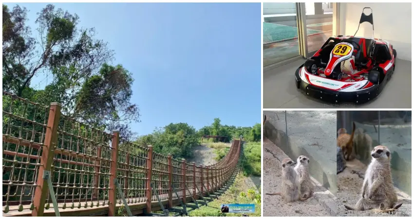 ▲高雄兒童節嗨翻！兒童連假衝7大高雄景點，免費壽山動物園 鈴鹿賽道樂園必去。
