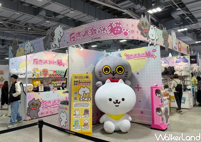 ▲2026台北插畫博覽會必拍！反應過激的貓打造巨型貓貓打卡點。(攝影：鄭亦庭)