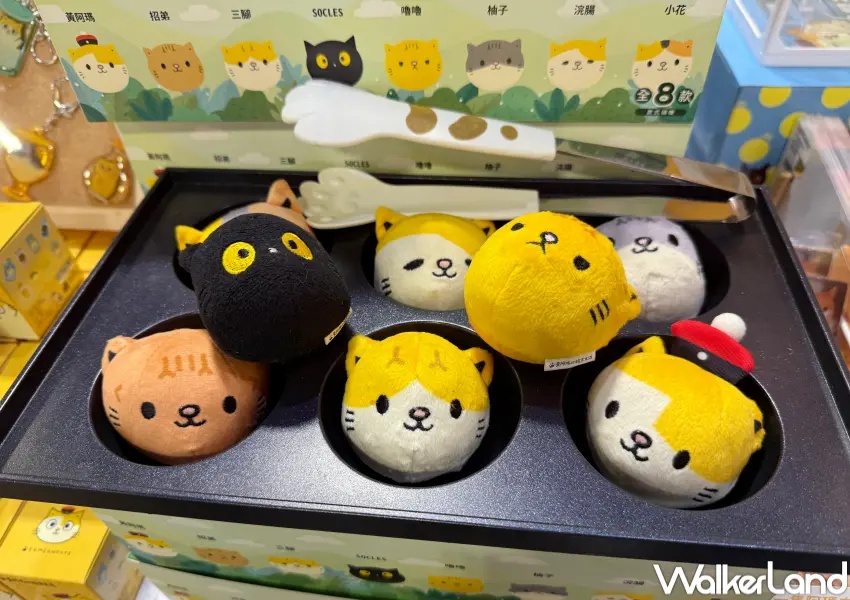 ▲2026台北插畫博覽會必買周邊推薦！黃阿瑪後宮貓草球盲盒，貓奴整套收。(攝影：鄭亦庭)