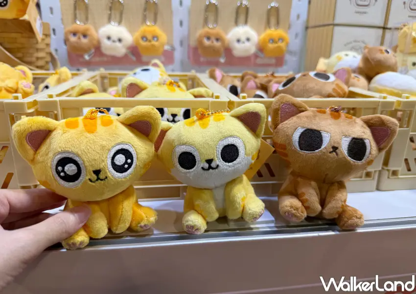 ▲2026插畫博覽會必買周邊推薦！薯餅薯泥是橘貓坐姿造型娃娃，粉絲們3隻一起帶回家。(攝影：鄭亦庭)