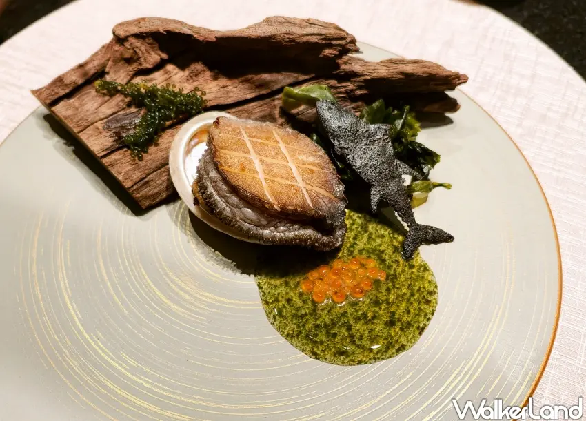 ▲南非鮑魚擺盤以木質裝飾物搭配綠海葡萄與海帶芽，還原鮑魚的自然棲息環境。（攝影：楊婷雅）