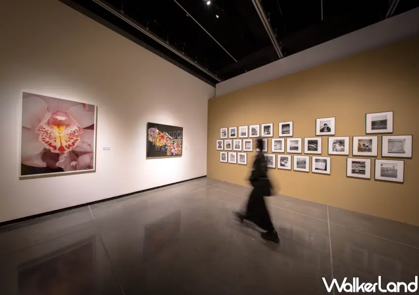 ▲屏東縣立美術館由舊菸廠轉化而成,成為南台灣最新藝術地標,首擋大展展出至8/30。(蔚龍藝術提供)