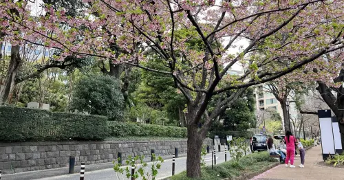 東京春天的散步提案：從賞櫻名所千鳥淵櫻花步道走到麴町街角，在No.4找一間可以從早待到晚的烘焙餐廳。
